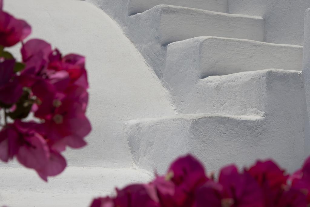Chelidonia Luxury Suites Oia  Exterior photo