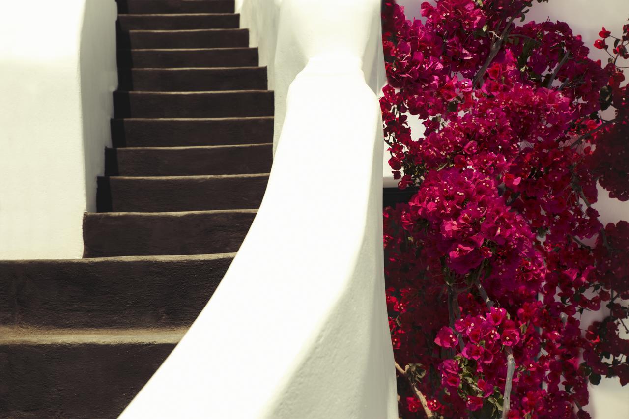 Chelidonia Luxury Suites Oia  Exterior photo
